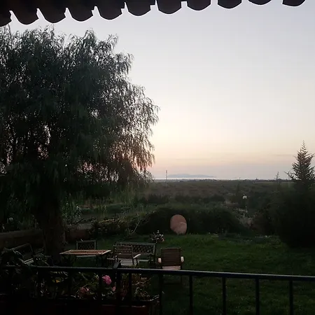 Vultaggio 2* Guarrato