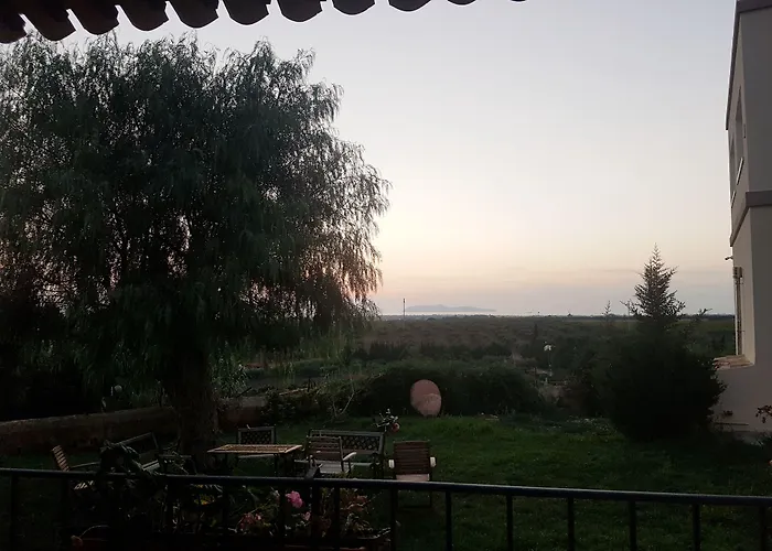 Vultaggio 2* Guarrato